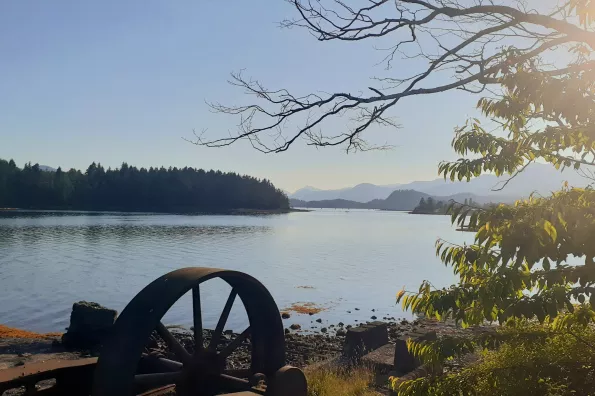 scenic view of water with trees and mountains in the distance