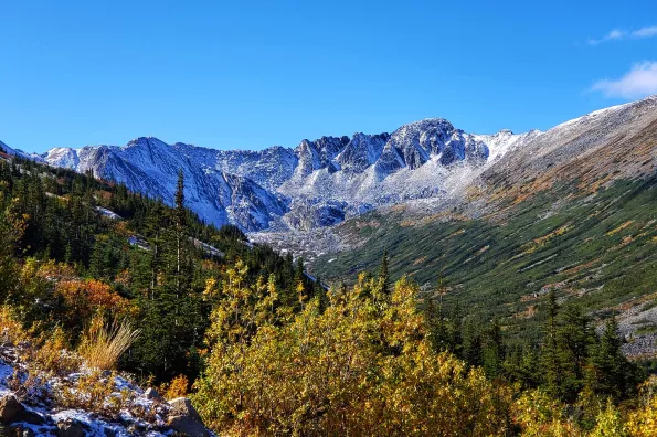 colorful image of mountain rage with trees and blue sky