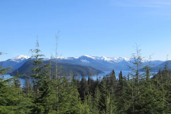 view of water with trees in the foreground and mountains in the background.