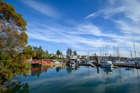 view of a harbor with boats on it on a sunny day. 