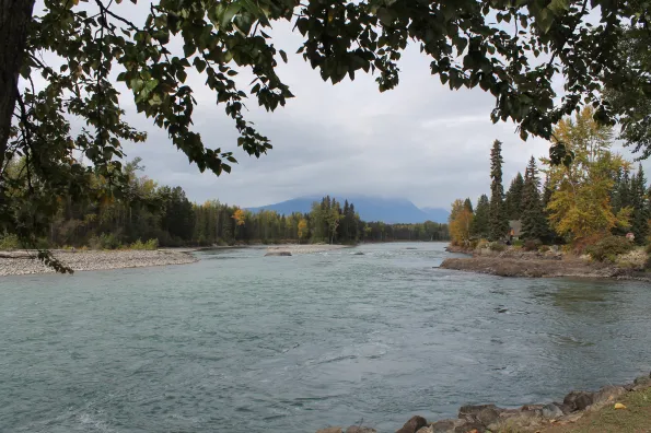 A view of a river surrounded by trees on either side with a mountain semi-covered by fog in the distance.